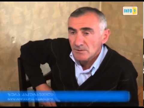 მკვდარი თაგვები