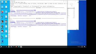 17-Finding Badchars Manually