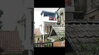 Download Lagu soun lucu bangit buat ngakak abis #shorts MP3