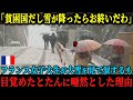 【海外の反応】「雪が降ったらお終いなのになぜわからないの?」フランスの女子大生が日本に旅行で来日するも、大雪に見舞われ絶望するが、翌朝の日本人の様子に唖然する事態に