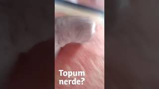 Puki Topuyla Oynuyor