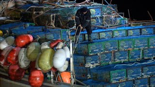 DEADLY Lobster Fishing Expedition | Dangerous Job, Storm Hunters, Extreme Travel