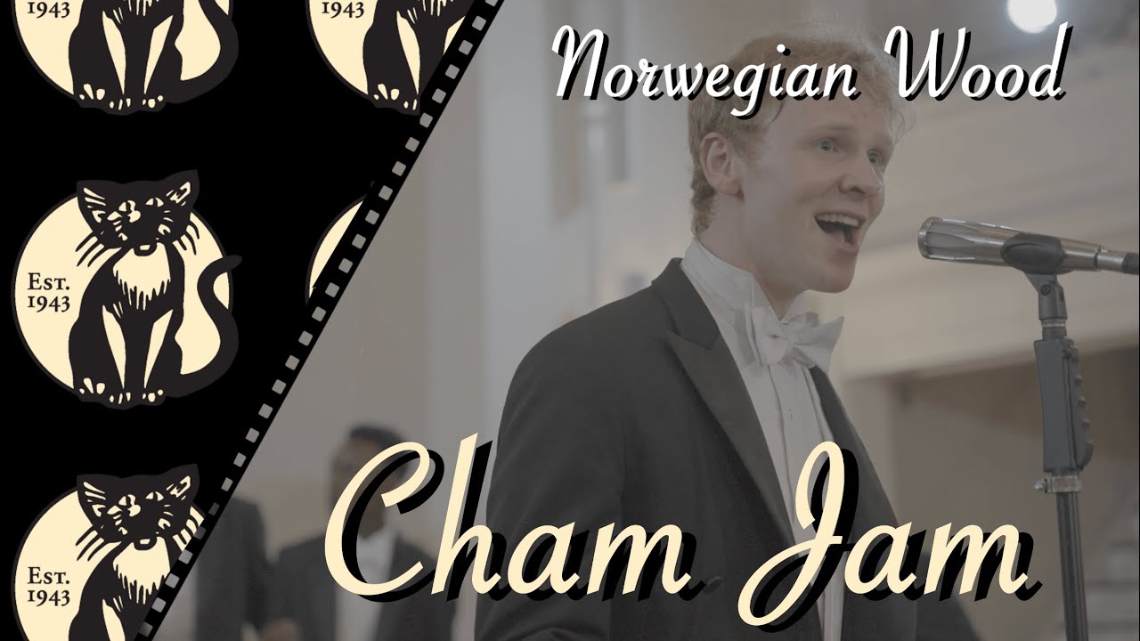 Norwegian Wood The Yale Alley Cats (Champagne Jamboree 2023) YouTube
