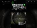 снайпер психопат 4/5 #eft #тарков #escapefromtarkov #tarkov