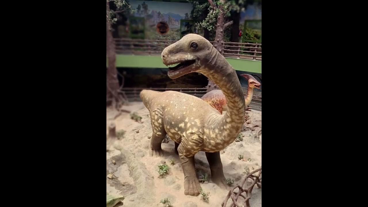 dianasor-park-balasinor-youtube