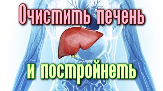 КАК ОЧИСТИТЬ ПЕЧЕНЬ И ПОХУДЕТЬ ЗА 1 МЕСЯЦ?