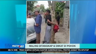 Download lagu Maling Ditangkap dan Diikat di Pohon Usai Kepergok Curi Tas
