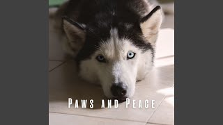 Harmony in Paws