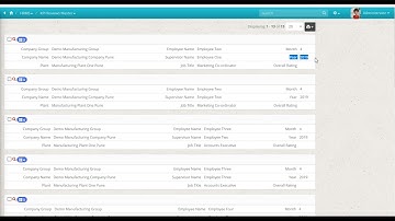 How to see, generate, rate and evaluate the KPI in HRMS and Payroll.