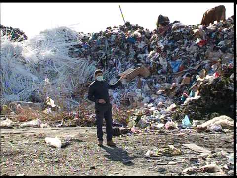 როგორ ხოცავენ უპატრონო ძაღლებს ბათუმში