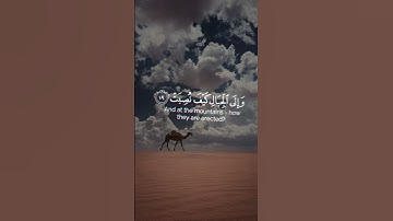 أفلا ينظرون إلى الإبل كيف خلقت 🌿|| تلاوة خاشعة ||