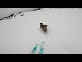 Michelle Parker has the Best Skiing Buddy | Warren Miller's "Daymaker" Highlight