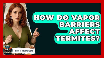 How Do Vapor Barriers Affect Termites? - Insects and Invaders