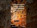 Ancient Eastern India through Cave Paintings:Nature, Rituals and Life#bpsc#upsc#history#viral#shorts