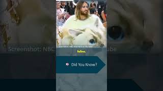 Choupette The Purr-Fect Met Gala Tribute To Lagerfelds Cat Howsmart Trivia