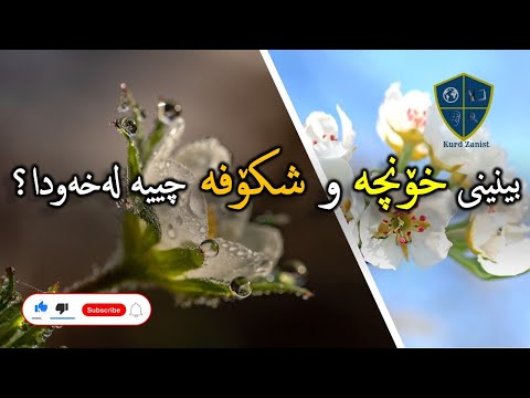 بینینی خونچە و شکۆفەکان لەخەودا چ واتایەکی هەیە