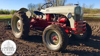 Ford 8N Tractor and Implements | Building A Homestead In 7 Days