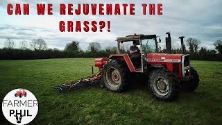 CAN WE REJUVENATE THE GRASS?! | MF 2725 COMES OUT OF HIBERNATION ON THE GRASS HARROW