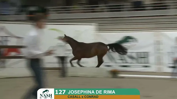 N127-JOSEPHINE DE RIMA  - From 20th to 24th of oct...