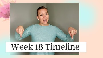 CC Timeline Week 18 Hand motions in ASL