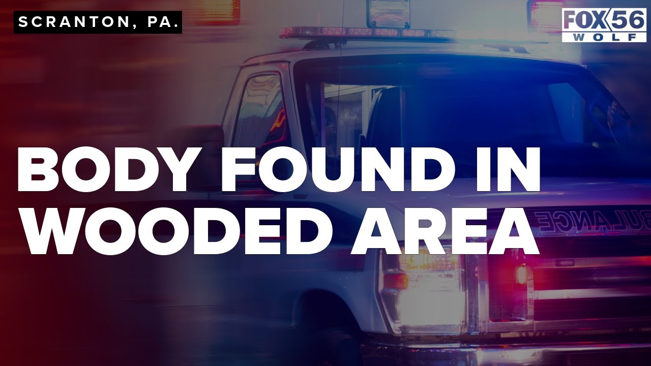 Police, coroner investigating after body found in wooded area - YouTube