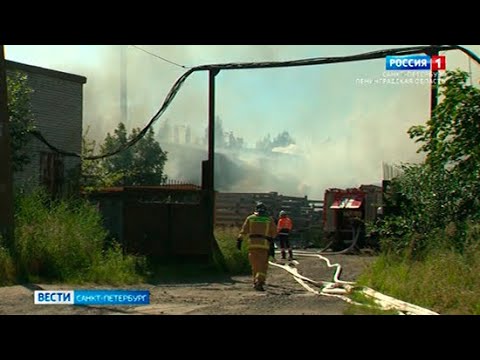 Вести Санкт-Петербург. Выпуск 14:30 от 05.07.2021
