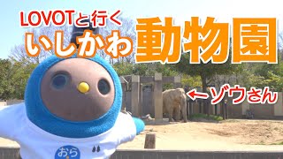 【 LOVOT 】 おらちゃん、 いしかわ動物園 に行ってきました＃LOVOTとの暮らし