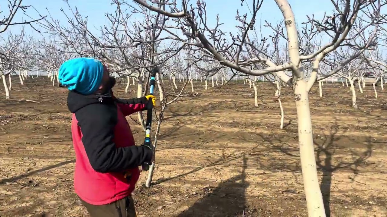 Toprak altı damlama çekme aparatı kaydedin lazım olur arkadaşlar