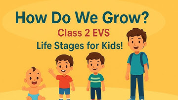 Growing Up | Class 2 EVS | Stages of Life Explained for Kids | EVS in Simple English