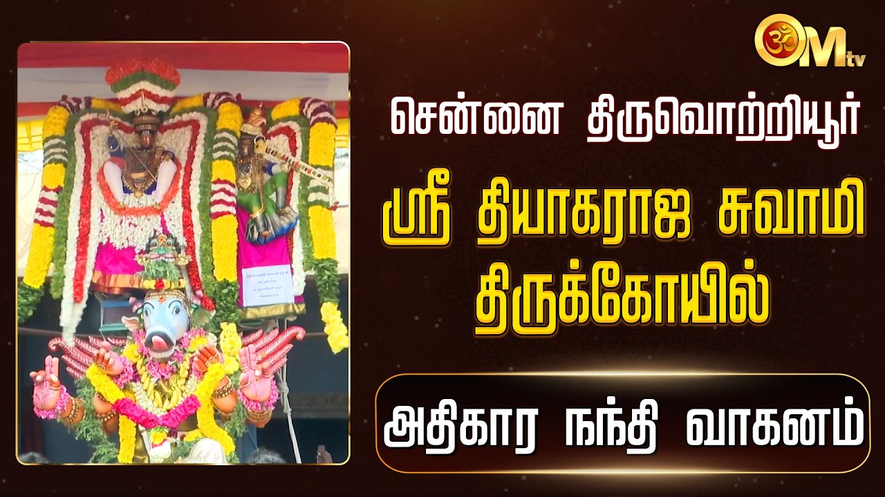 சென்னை திருவொற்றியூர் ஸ்ரீ தியாகராஜ சுவாமி கோயில் - அதிகார நந்தி வாகனம் | Tiruvottiyur | OMTV