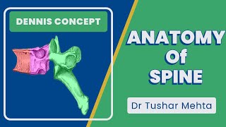 Anatomy of Spine | 3 Column Concept of Spinal Stability Explained | Orthopedics by Dr. Tushar Mehta