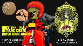 MASTERAN PLECI NEMBAK CIBLEK ( RASA BRANJANGAN ) BY SKPJ