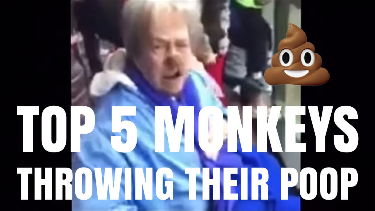 TOP 5 MONKEYS THROWING THEIR POOP YouTube
