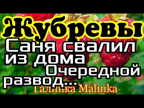 Канал Жубревы Новый Год Канал Жубревы Новый Год