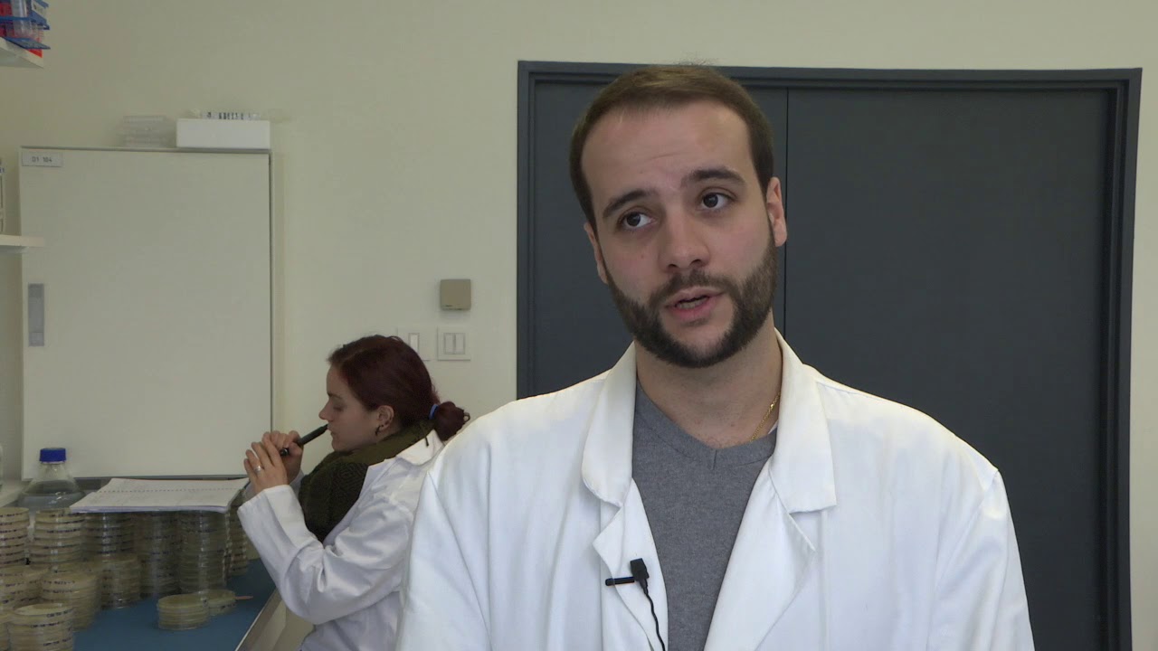 Quand les bactéries neutralisent l'amiante