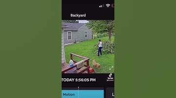 When you use gasoline to start a fire but you thought it was diesel fuel 🔥 ￼