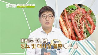 단삼의 또 다른 효능☞ 당뇨 및 대사성 질환에도 GOOD TV정보쇼 알짜왕(alzzaking) 134회