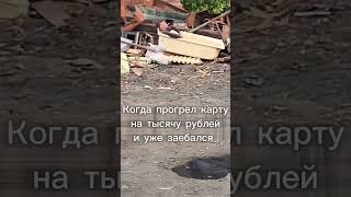 Выбирайте Лучшую Платформу Для Процессинга Payshark