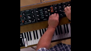 Moog Minimoog Model D glitchy tweaking #synthesizer #minimoog #moog