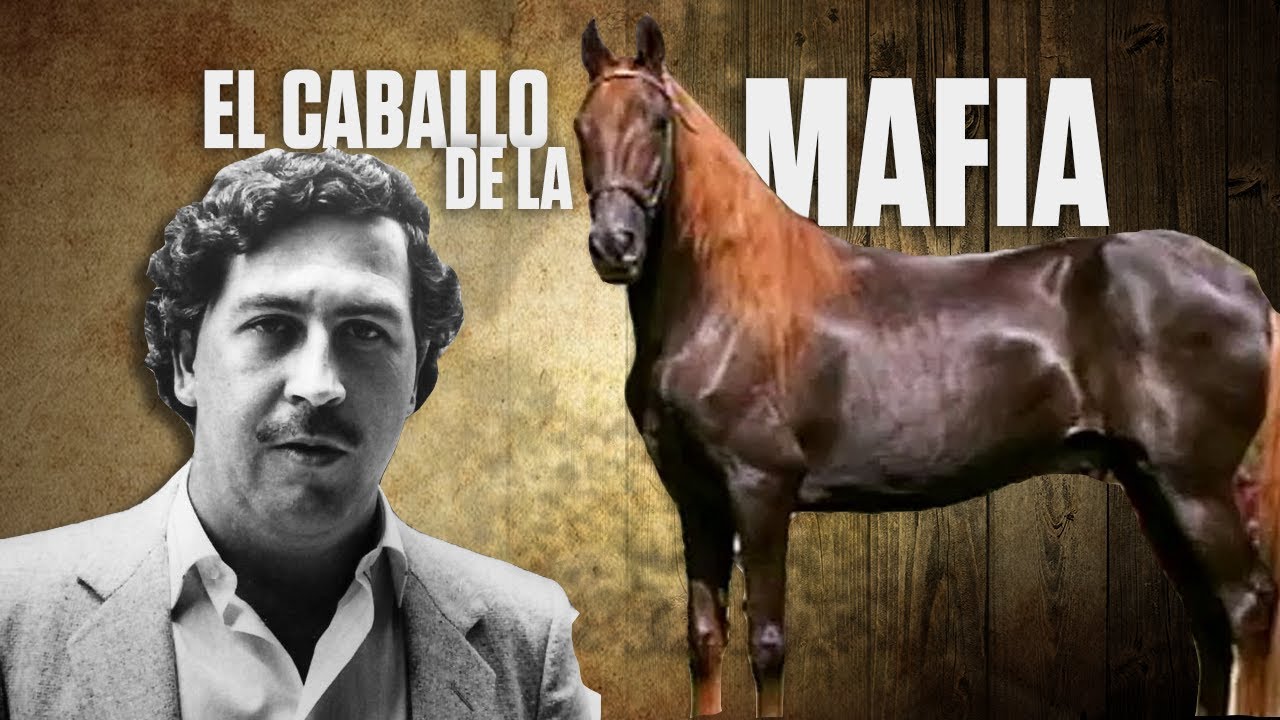 🔥😈 El Caballo de La Mafia - Terremoto de Manizales | RysolTV