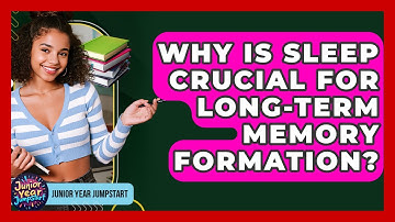 Why Is Sleep Crucial For Long-term Memory Formation? - Junior Year Jumpstart