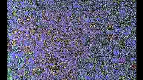 Dark noisy images affect DVR recording rates profoundly - Night Recording