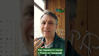 Не Переводите На Хороший Корм Резко