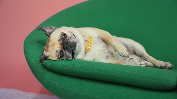 Pixel vs Pixel : Recorder