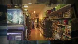 local Pet Store Morgantown WV