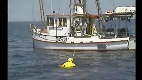 Lifesling MOB Recovery System