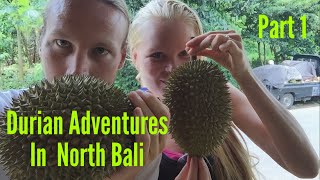 DURIAN ADVENTURES IN NORTH BALI ||PART 1 OF 2||VLOG||