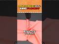 99%の人が知らない正しい洗濯物の干し方の裏ワザ #ショート #ライフハック #shorts