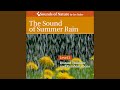 The sound of summer rain