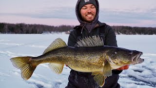 Ice Camping For The BIGGEST Walleye Of My Life (Overnight In Tent)